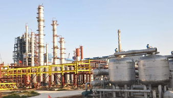 高半胱氨酸硫內(nèi)酯鹽酸鹽市場(chǎng)生產(chǎn)需求現(xiàn)狀及前景分析